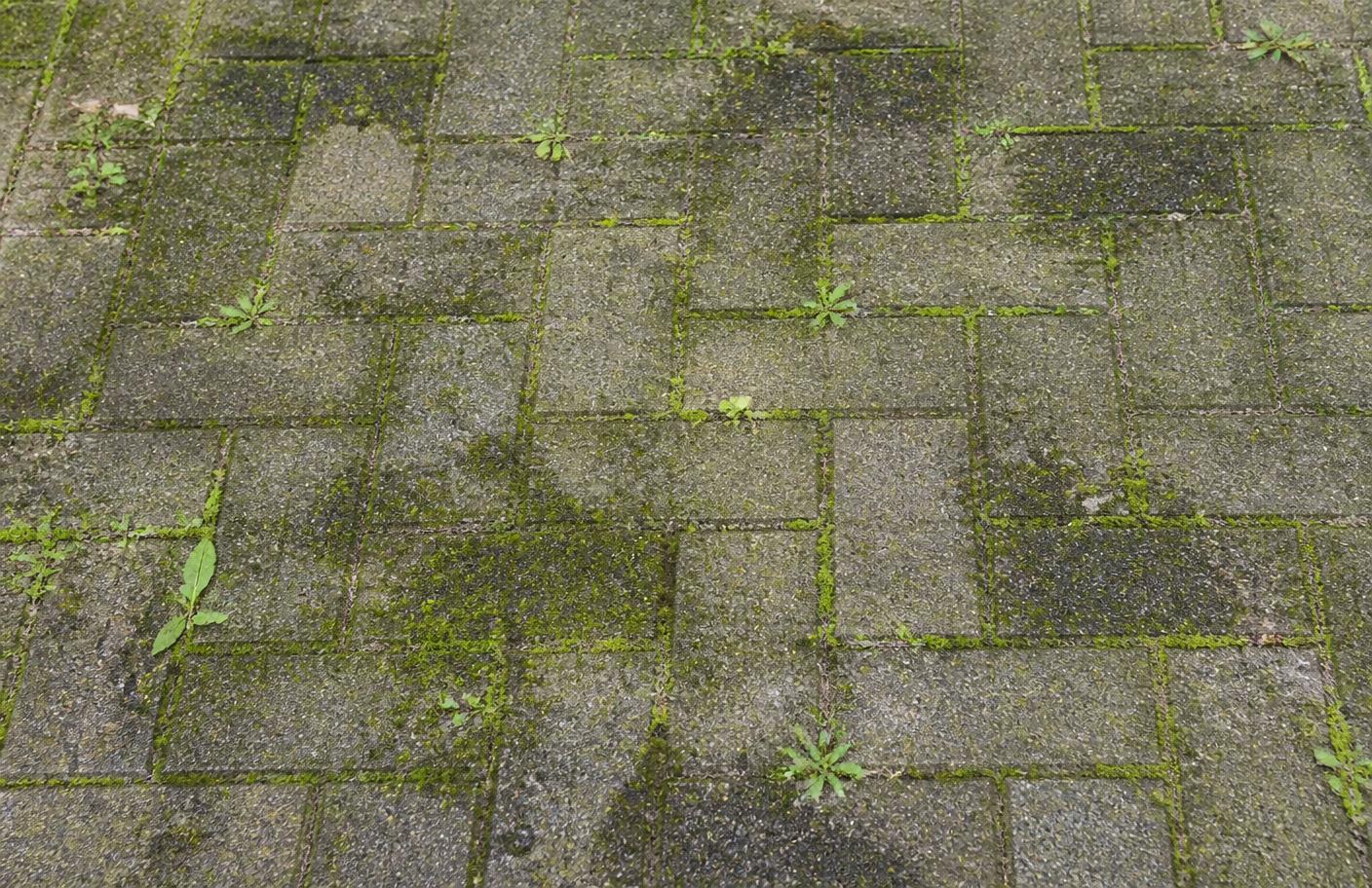 Oprit voor reiniging